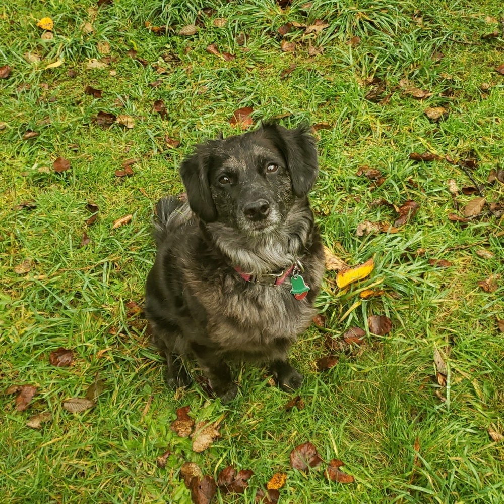 Meet your Posher, Keeley